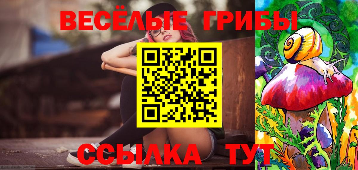наркотики  Вход с VPN  Чита  Псилоцибиновые грибы MAGIC MUSHROOMS 