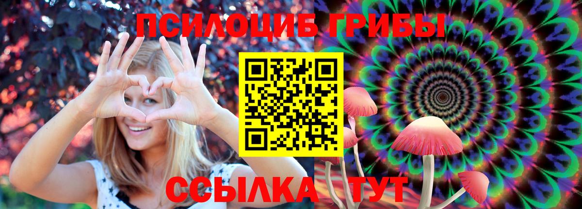 Псилоцибиновые грибы MAGIC MUSHROOMS Чита